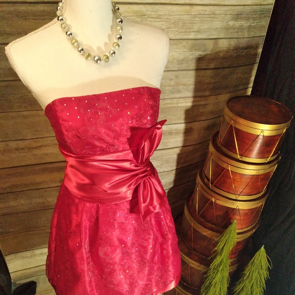 EUC Jessica McClintock Holiday Dress